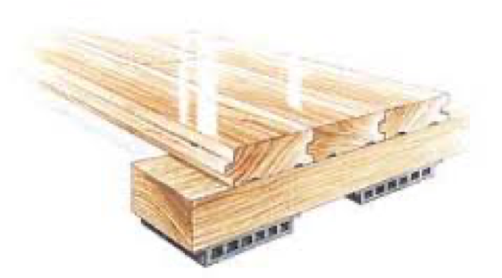 Athletic Wood Floor