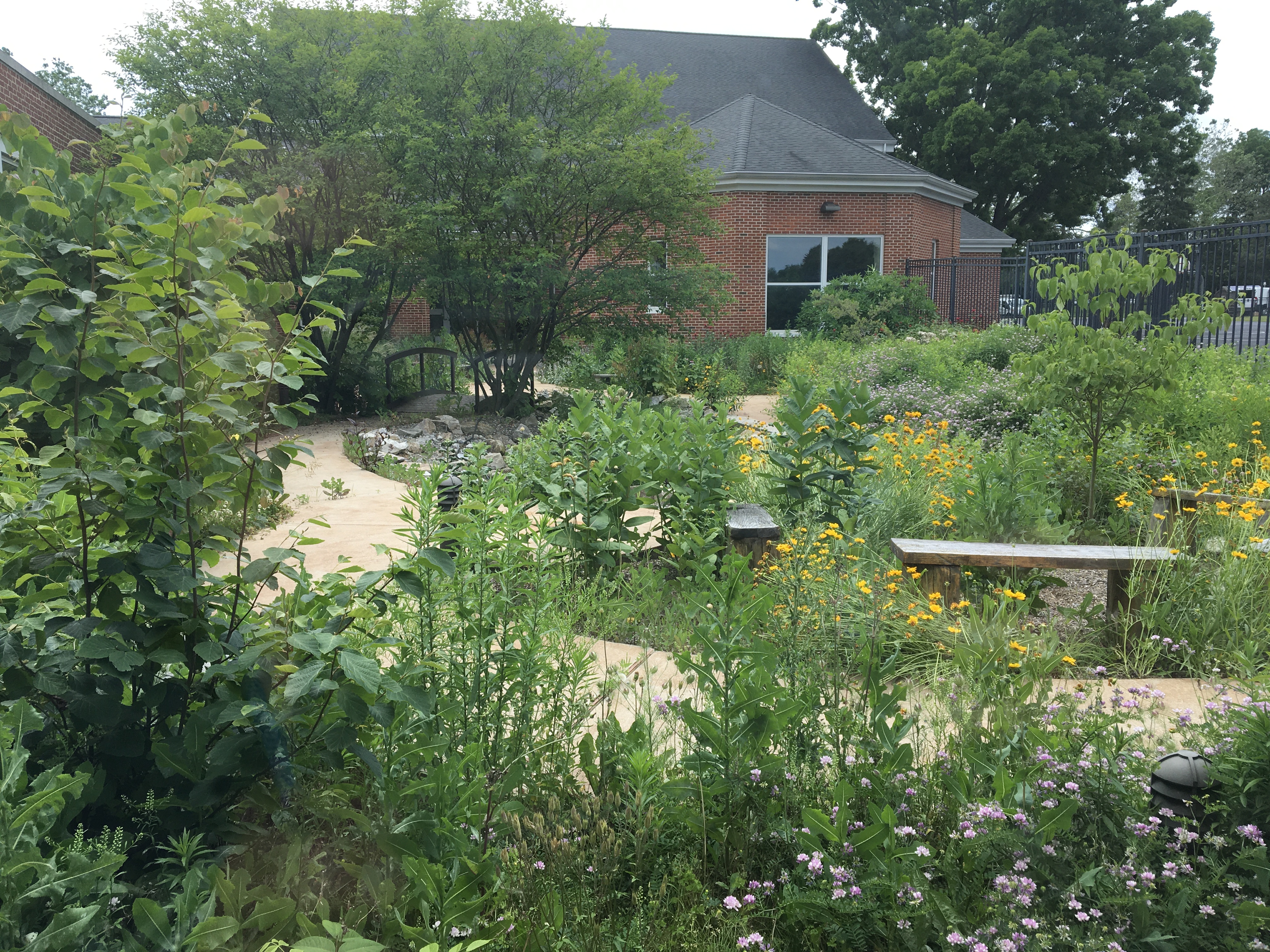 The Schaeffer Elementary Eco-Garden
