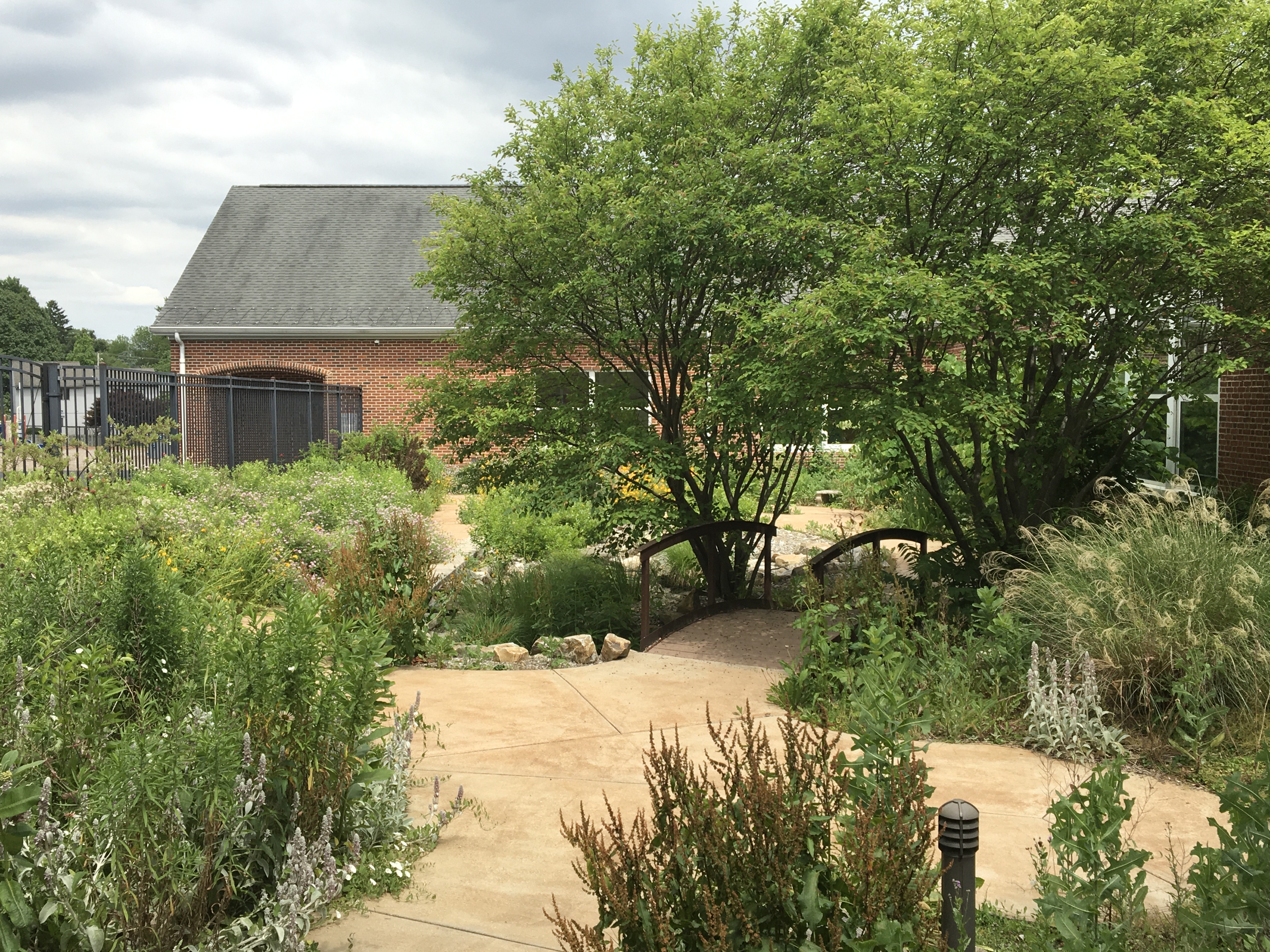The Schaeffer Elementary Eco-Garden