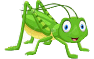grasshopper