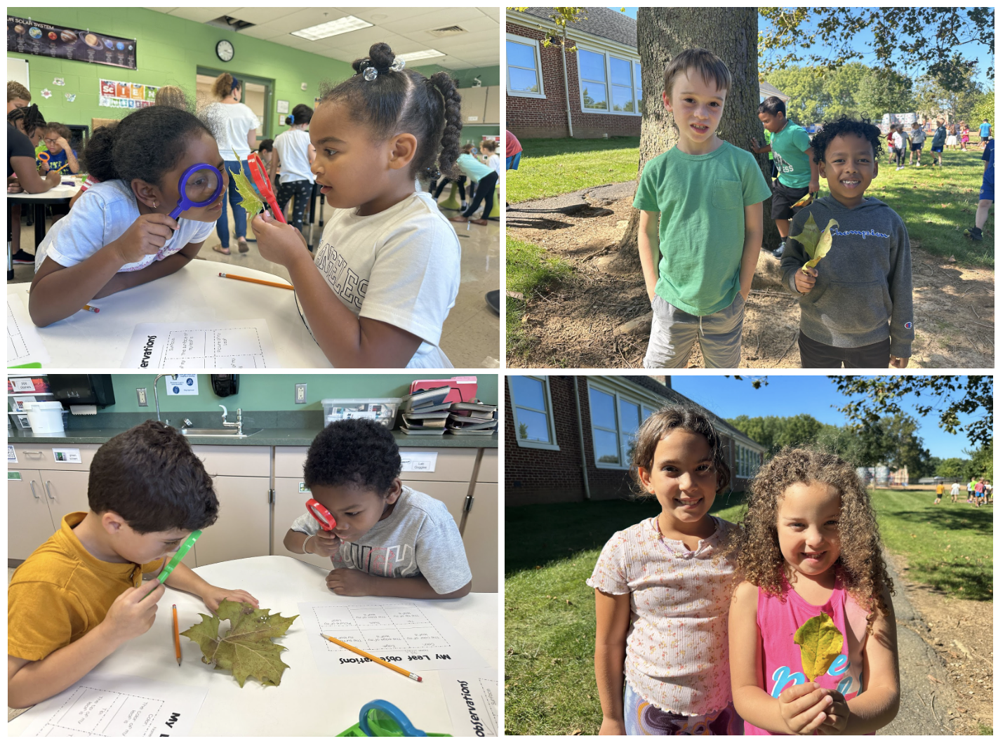 Photo of Schaeffer Elementary School leaf hunt project